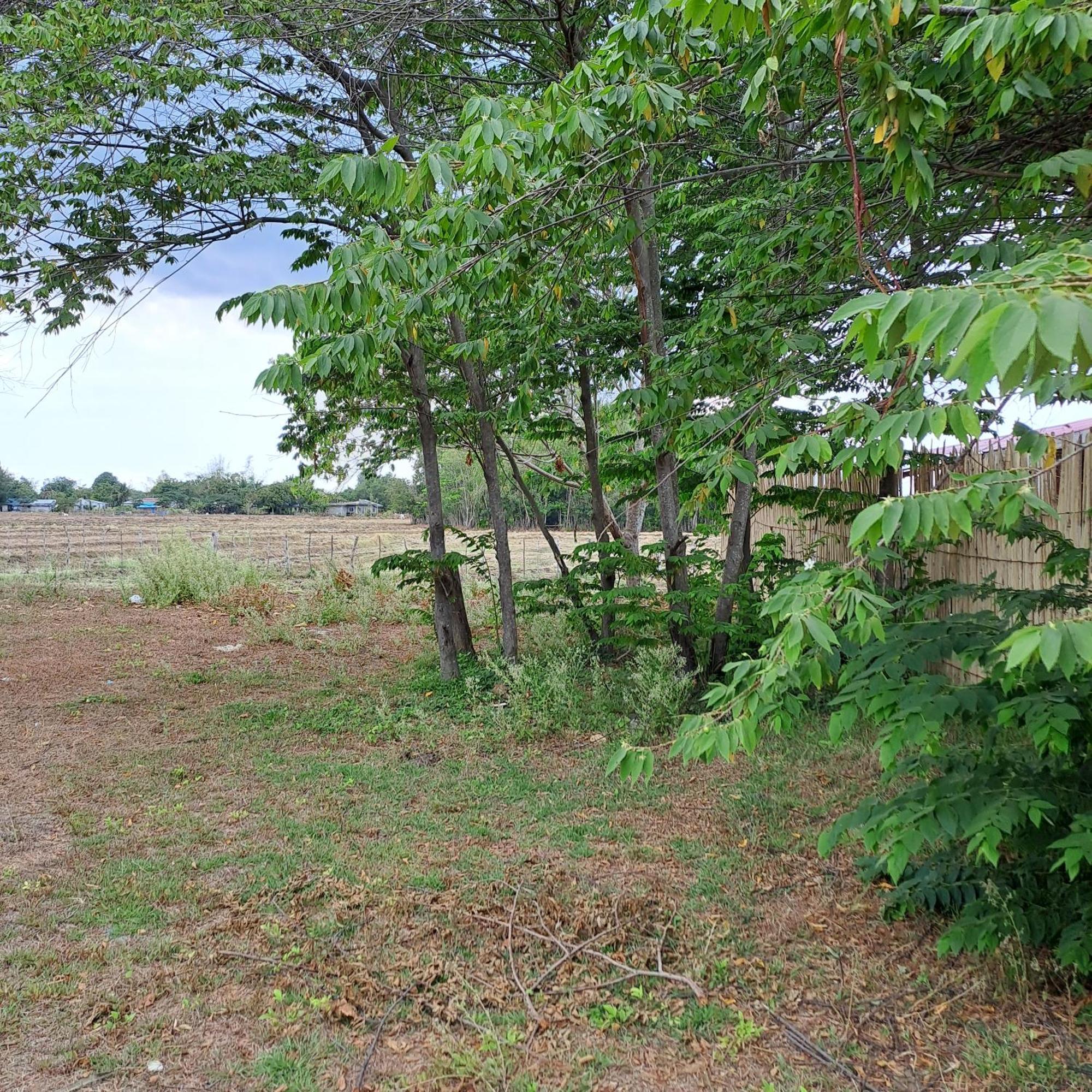 The Beaulah Overlooking Cozy Hideaway In Hundred Islands Alaminos